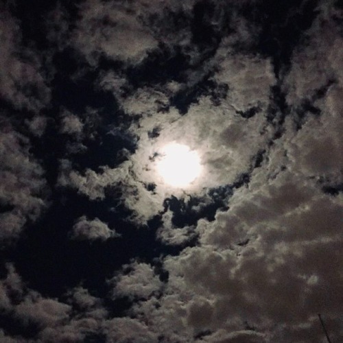 Jace! - Legs Lock (Prod. Gateway, Whatswrongchase & Vendr)