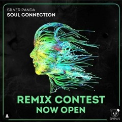 Silver Panda - Soulconection (Lio & Prah Remix)