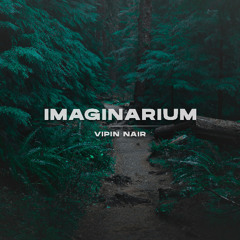 Vipin Nair - Imaginaruim