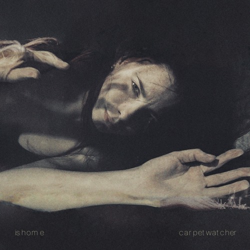 ishome - carpet watcher