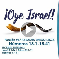 OYE ISRAEL #37 PARASHA SHELAJ LEKJA