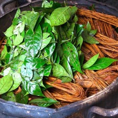 Divina União - Marcelo e Violão