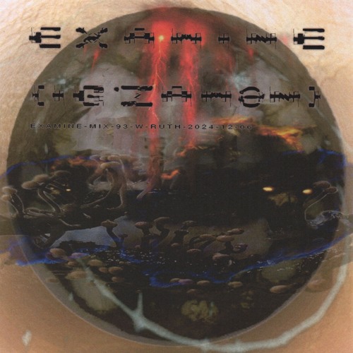 examine-mix-93-w-ruth-2024-12-06