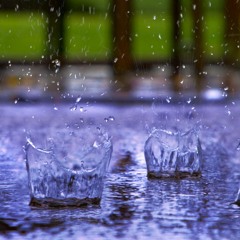 Rain For Sleep Or Relaxation (No Thunder) 🌧️ White Noise (75 Minutes)