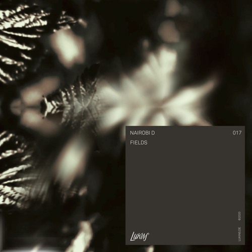 Nairobi D - Fields (snippet)