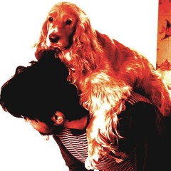 interim relief (part I)