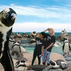 SLEEPY HACKER - ZzZzZzZSAUCE FREESTYLE Internet Radio Stream