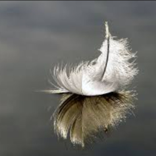 Floating Feather Fort