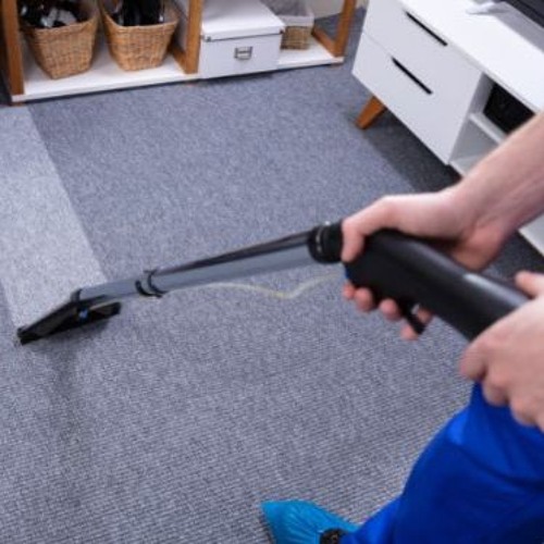 A Guide To Maintain Your Carpet Between Home Carpet Cleaning Sessions