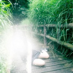 2k24 ☆ beat samplessss :0 (thanks for 100 followers!!! :D)