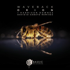 PREMIERE: WAVEBACK - Orion (David Di Sabato Remix) [Bassic Records]