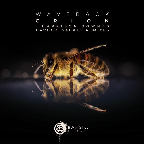 WAVEBACK - Orion (Original Mix) • Preview • OUT NOW •