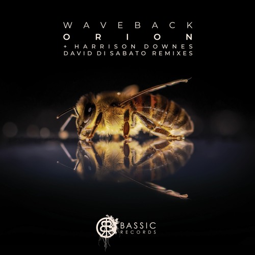 PREMIERE: WAVEBACK - Orion (David Di Sabato Remix) [Bassic Records]
