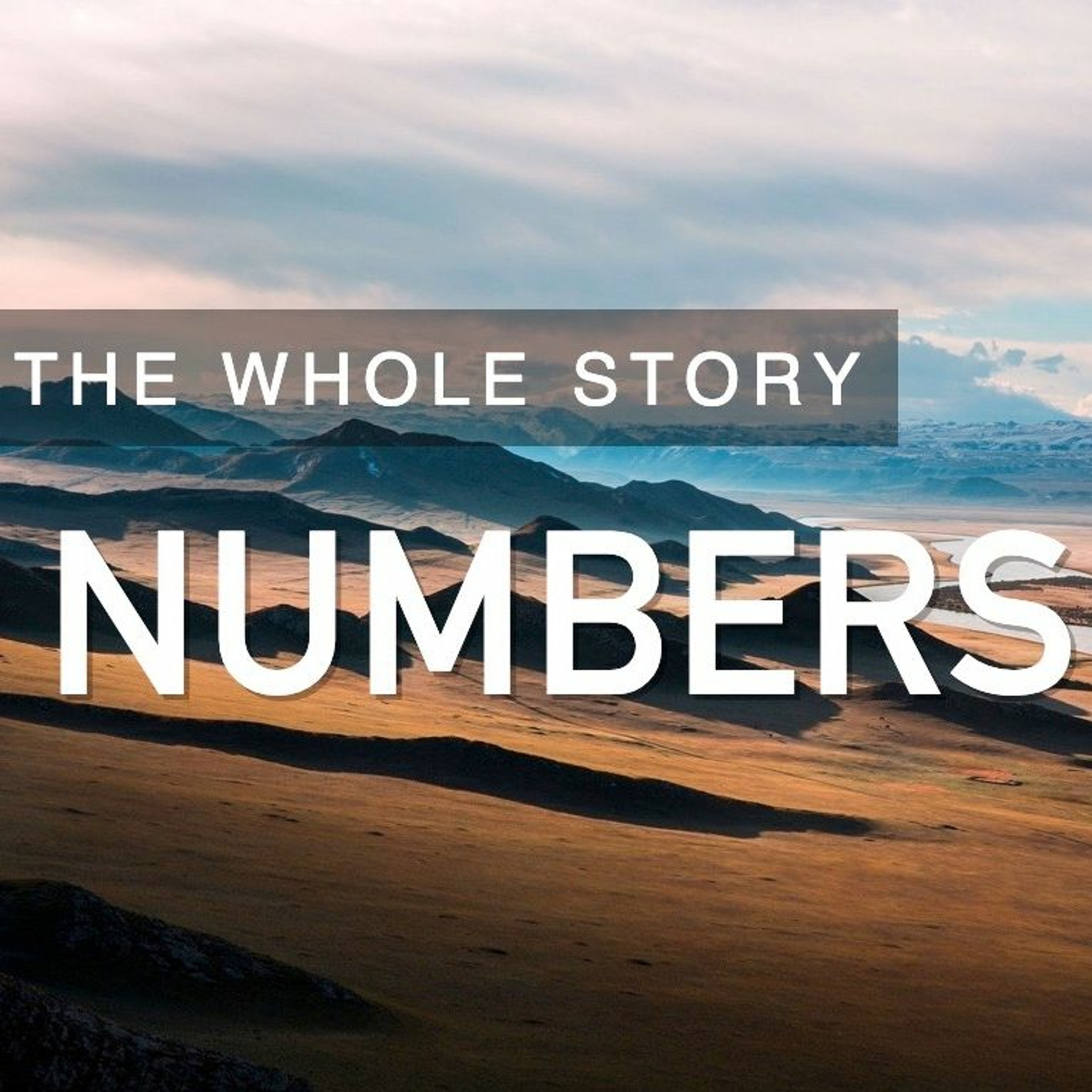 NUMBERS: The Journey - Pastor Tim Knowles (6.7.2020) episode artwork