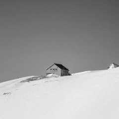 In The Dead Of Winter