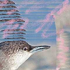 Take it EZ Babe (improved)