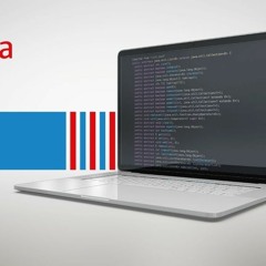 Shahab Mir -  Expert Java Developer