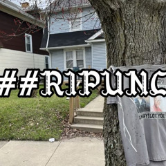 ##RIPUNC (pinkblxxd + eddyoetty)(polt) *all plats*