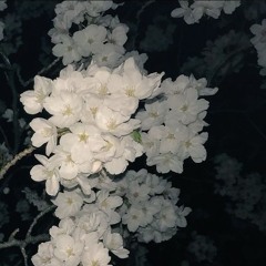 古风 Relax Chinese Pop music