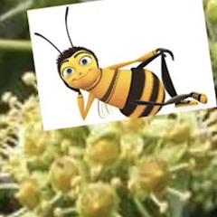 Look Closer by will pearce