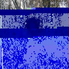 internal review of archival infrastructure following identification of data loss