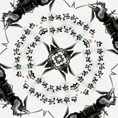 Liminal Zone x Xtratraterrestre - HypridDimension 投影 -290BPM Master by Nebula Sound Lab