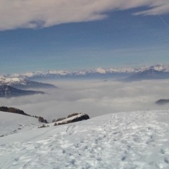 La Via Nella Neve (naviarhaiku513)