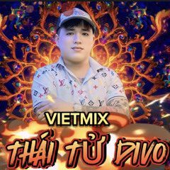 NST VIETMIX-THÁI TỬ DIVO-2025.WAV