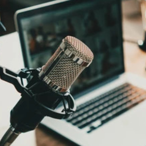 Struggling with Assignments? Darwin Students, Listen Up!