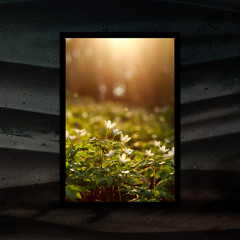 Behind the Waterfall