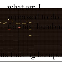 Bumper that plays at some point maybe i think idk