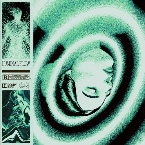 LUMINAL FLOW