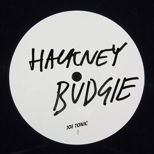 Hackney Budgie (Hackney Parrot Remix)