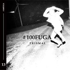 100FUGA13 ∿ PRISMAL