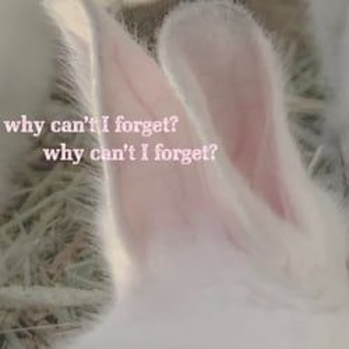 I let it happen again.