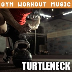 Turtleneck(UK) - GYM Workout Mix No. 070 (Bass House Mix)