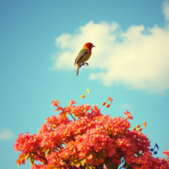 Bird Song