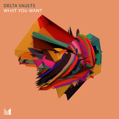 What You Want (Extended mix)