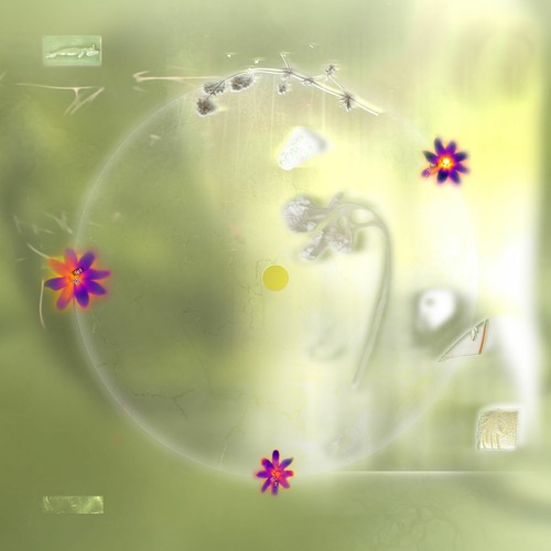 Tristan Arp - Shrink Wrap