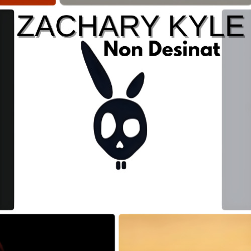Zachary Kyle - Non Desinat