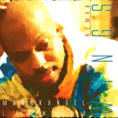 Wings (Remix) [feat. Likwuid] - Radio Version