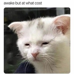 awake but at what cost (2022 DnB Festival Mix)