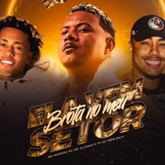 MC RODRIGO DO CN - ELA VEM, BROTA NO MEU SETOR - REMIX ( AFROFUNK )