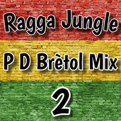 //RAGGA JUNGLE 2\\  (P D BRÈTOL MIX)