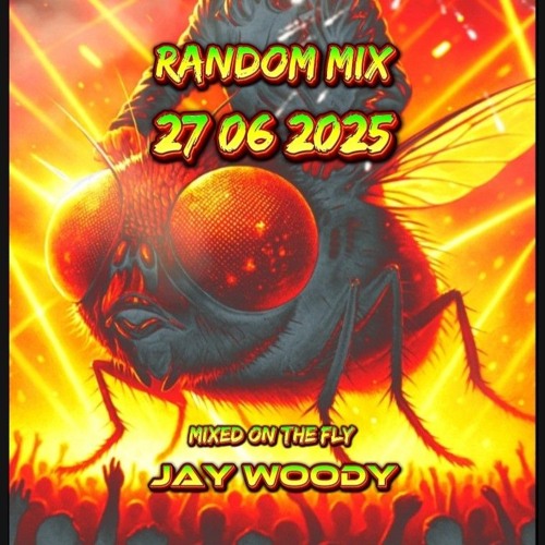 RANDOM MIX 27.06.25