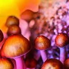 So Long (Prod. Cherrone)