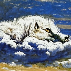 𝐓𝐇𝐄𝐘'𝐋𝐋 𝐖𝐀𝐓𝐂𝐇 𝐎𝐕𝐄𝐑 𝐔