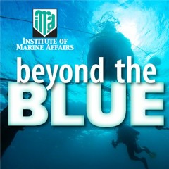 Our Leatherback Turtles are threatened Part 2 -(Beyond the Blue - S2 E6)