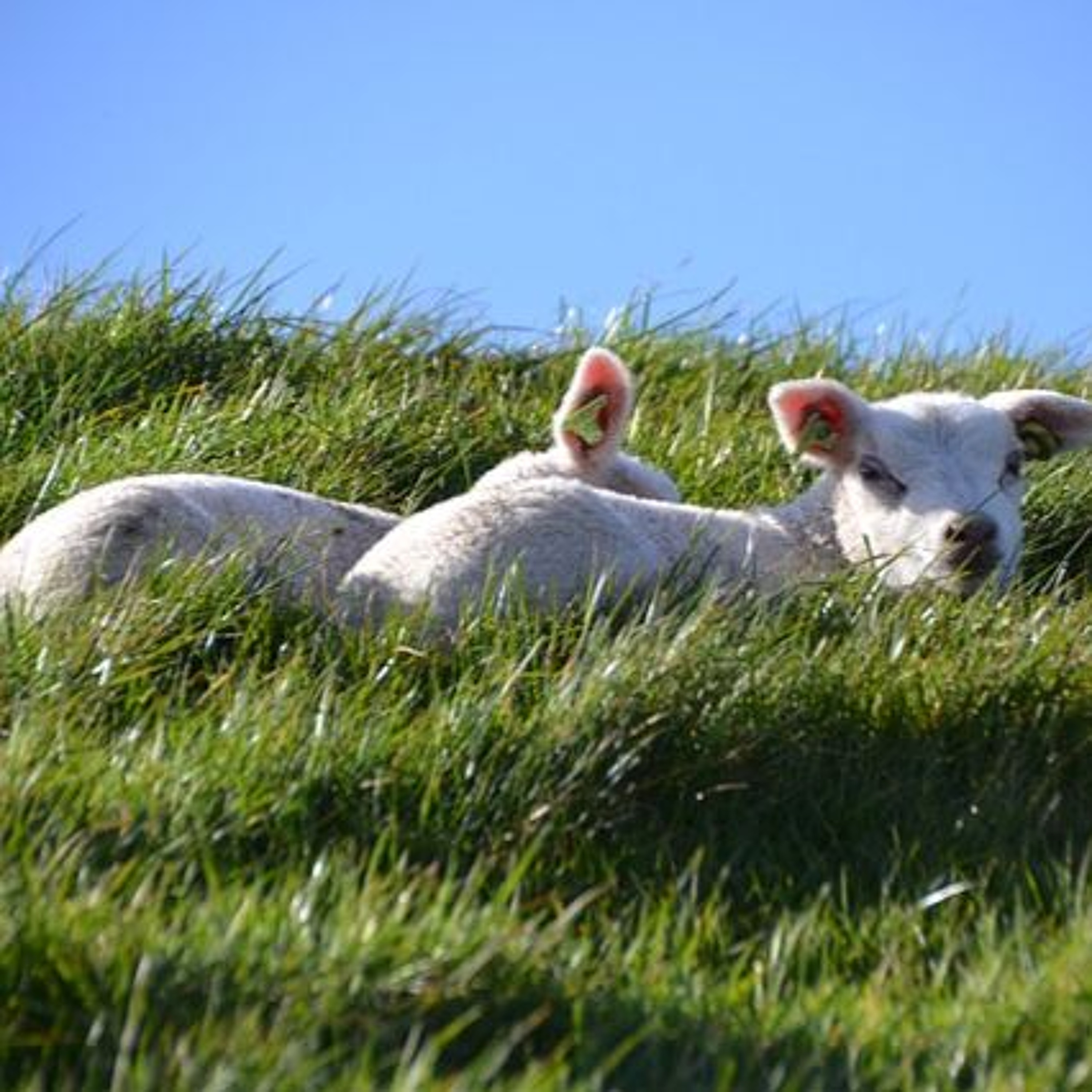 Pass Over to Greatness: A Nation Emerges - Pull Up a Chair