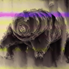Spiralling Tardigrades